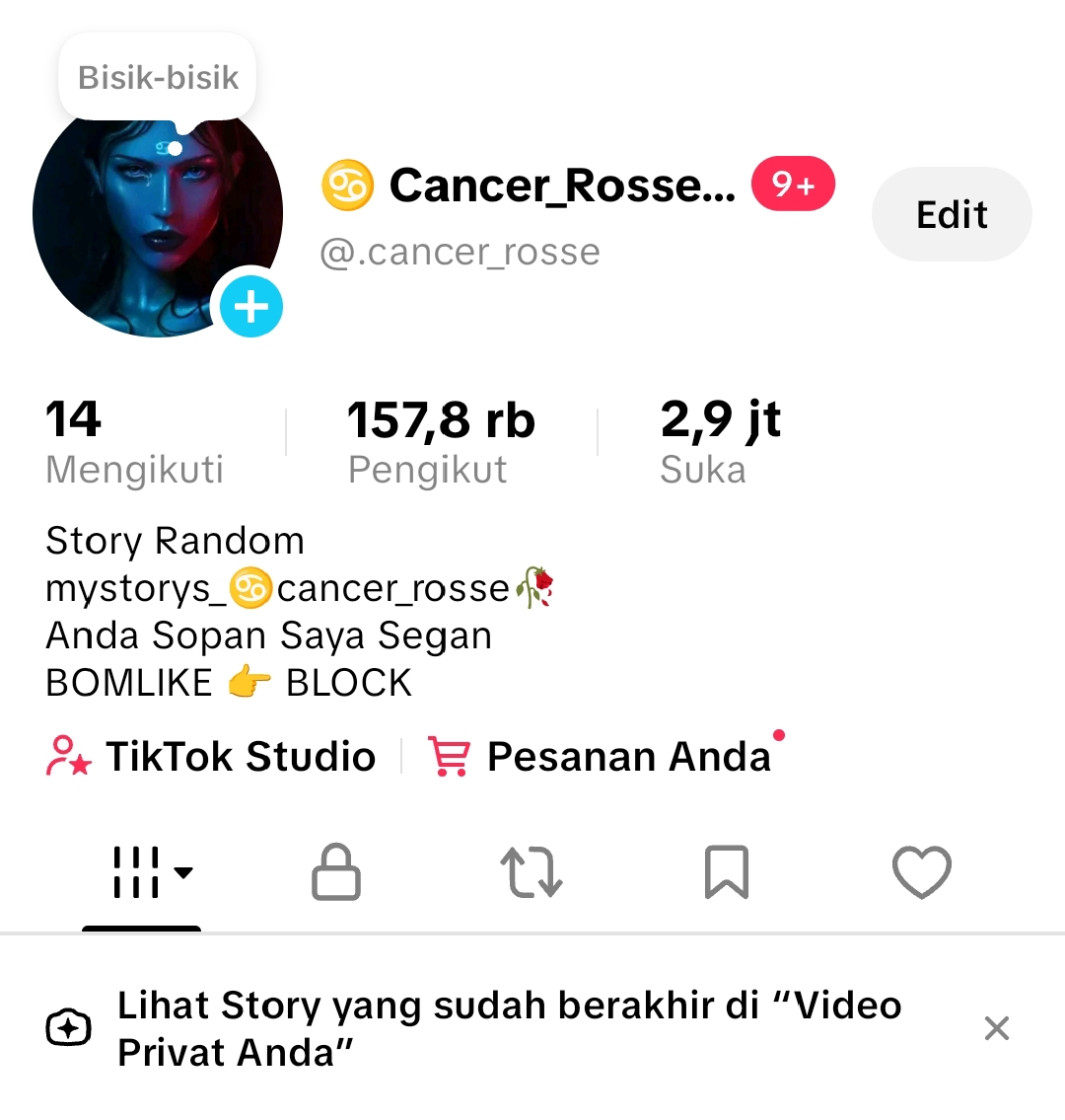 Akun tiktok